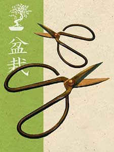 Narzędzia do bonsai