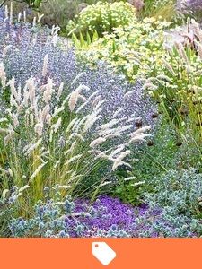 Sprzedaż roślin ogrodowych