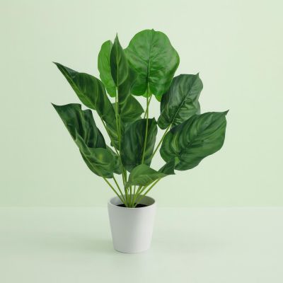 Calathea Orbifolia kunstplant
