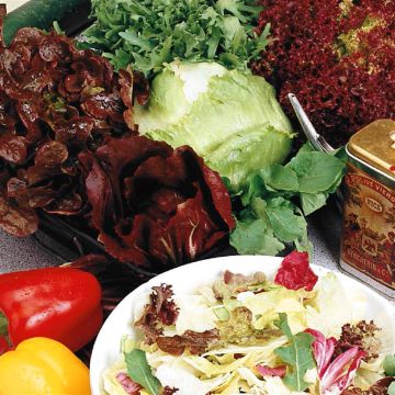 3 2688 Mixed French Salad