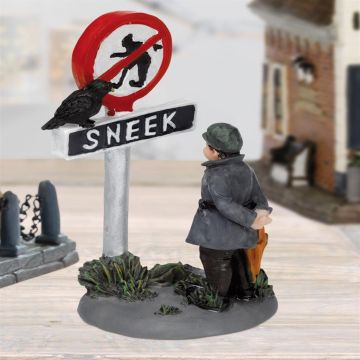 VERBODEN TE SCHAATSEN