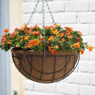 8711338701034.JPG 8711338701034.JPG