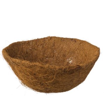 8711338701331.JPG 8711338701331.JPG