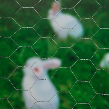 8711338502129.JPG 8711338502129.JPG