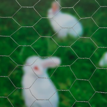 8711338502143.JPG 8711338502143.JPG