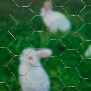 8711338502228.JPG 8711338502228.JPG