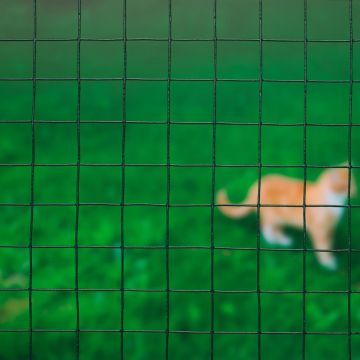 8711338502624.JPG 8711338502624.JPG