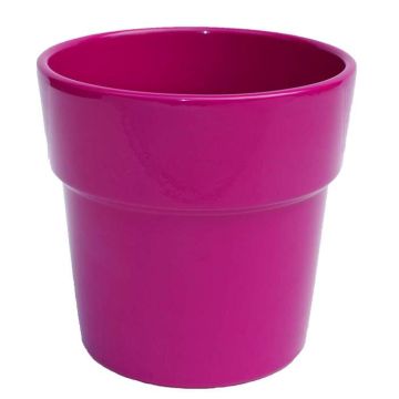 31.693-orch-fuchsja.tif 31.693-orch-fuchsja.tif