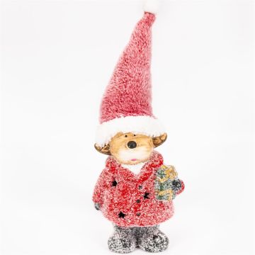 Kersthond witte achtergron