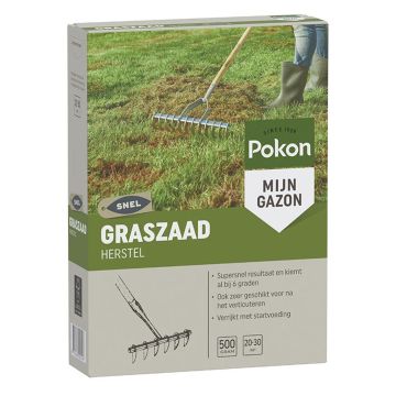 Pokon graszaad herstel 500 gr 20 30 m