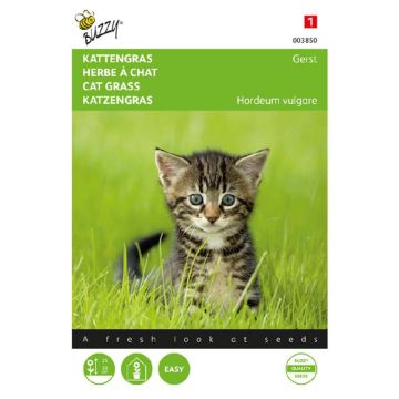Cat grass 003850