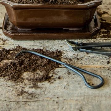 GT294 Bonsai wortelhaak