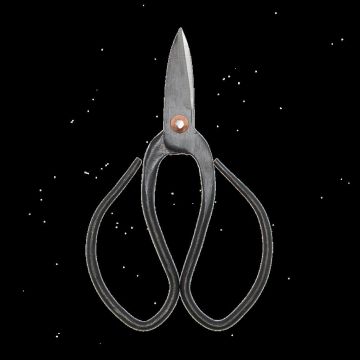 GT295 Bonsai snoeischaar S