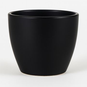 158420 Sven Glazed 158420 Sven Glazed