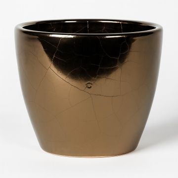 165878 Sven Glazed 165878 Sven Glazed