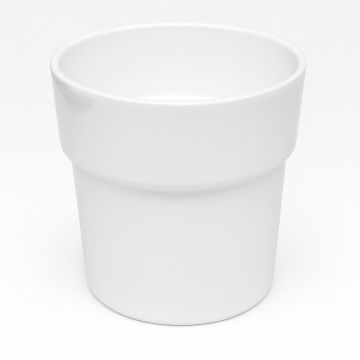 31.690-orch-pot-rim-wit.jpg 31.690-orch-pot-rim-wit.jpg